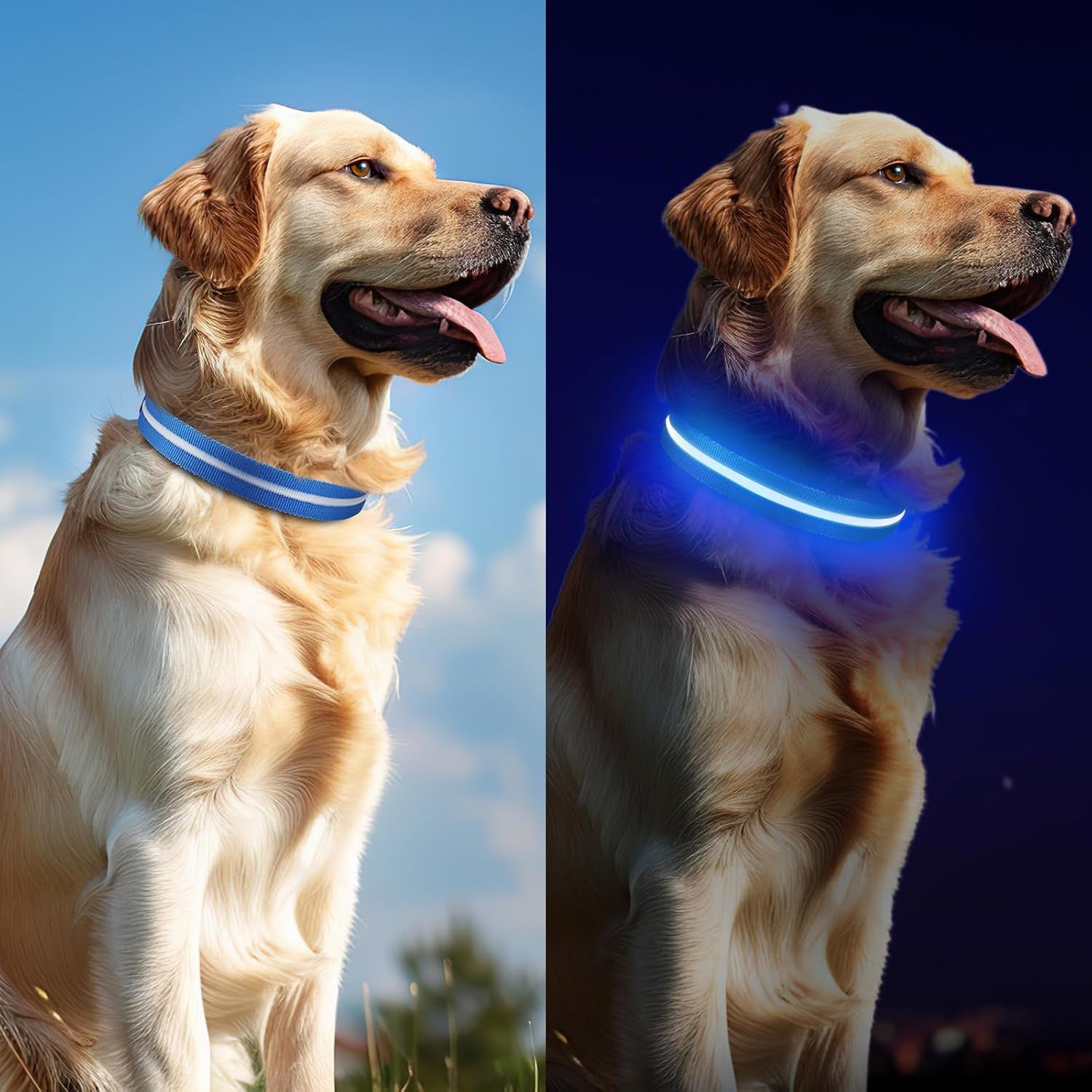 Jewyow Leuchthalsband Hund, Wiederaufladbares LED Hundehalsband FĂŒr Kleine, MittelgroĂe & GroĂe Hunde, Verstellbares Hundehalsband Leuchtend Mit Wasserdicht, 3 Modi, Blau-S