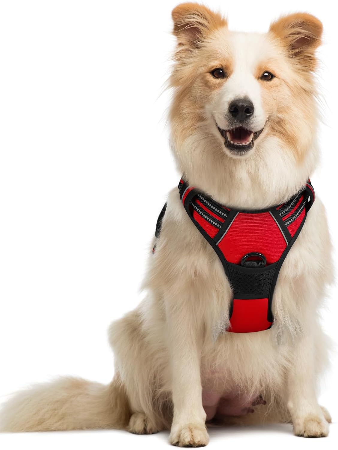 Rabbitgoo Hundegeschirr Kleine Hunde, anti Zug Geschirr Mit Kontrolle, No Pull Verstellbar Hundegeschirr Grosse Hunde, Atmungsaktiv Reflexstreifen Brustgeschirr Sichere Führung Schwarz XS