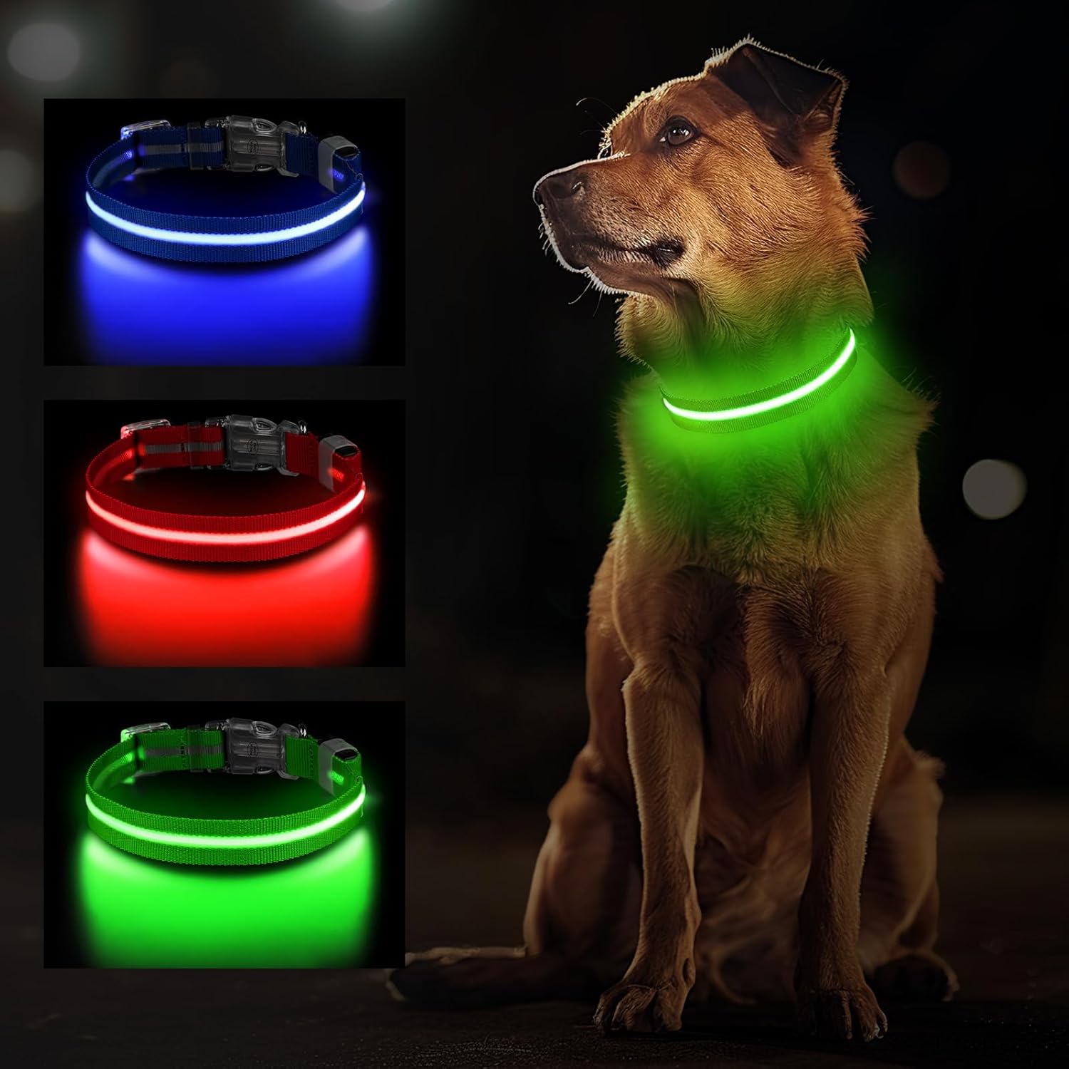 Jewyow Leuchthalsband Hund, Wiederaufladbares LED Hundehalsband FĂŒr Kleine, MittelgroĂe & GroĂe Hunde, Verstellbares Hundehalsband Leuchtend Mit Wasserdicht, 3 Modi, Blau-S