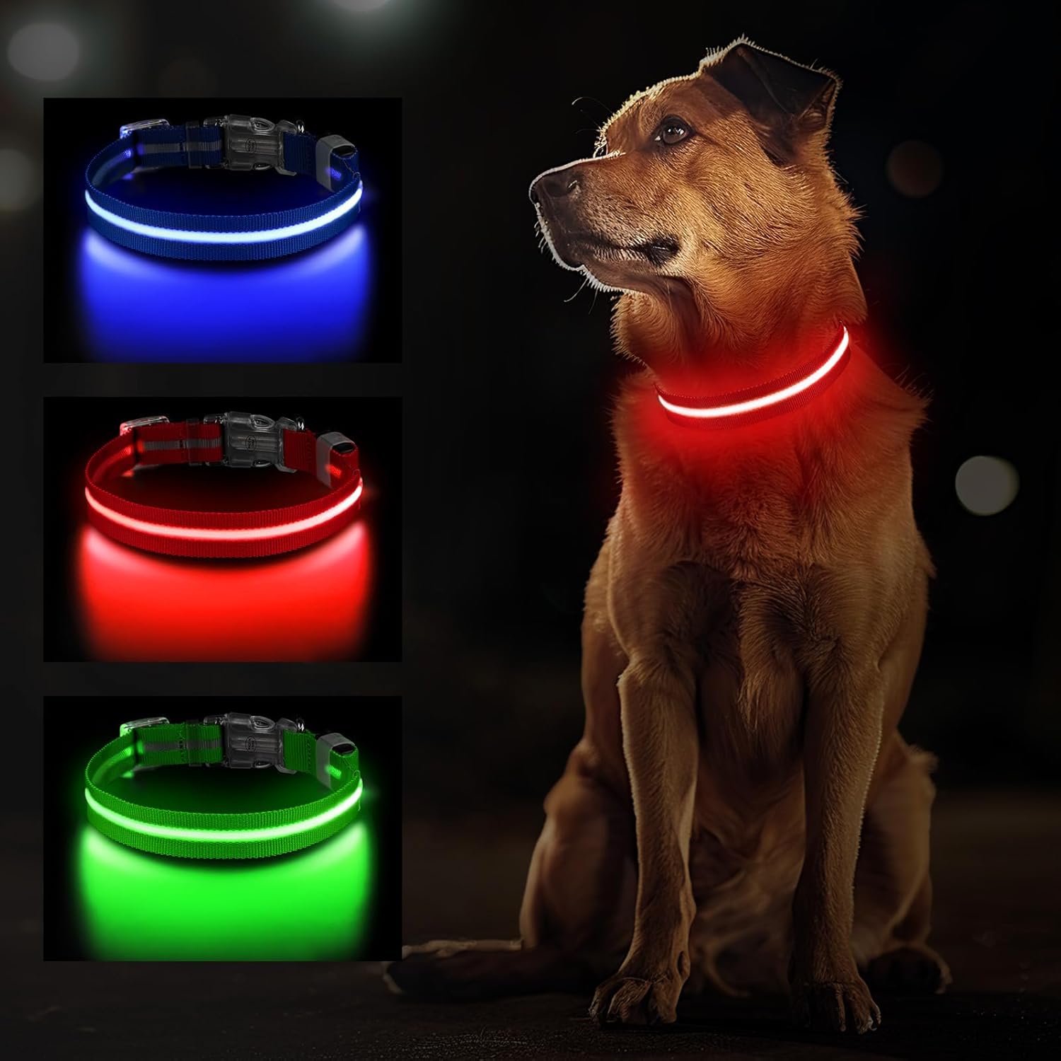 Jewyow Leuchthalsband Hund, Wiederaufladbares LED Hundehalsband FĂŒr Kleine, MittelgroĂe & GroĂe Hunde, Verstellbares Hundehalsband Leuchtend Mit Wasserdicht, 3 Modi, Blau-S