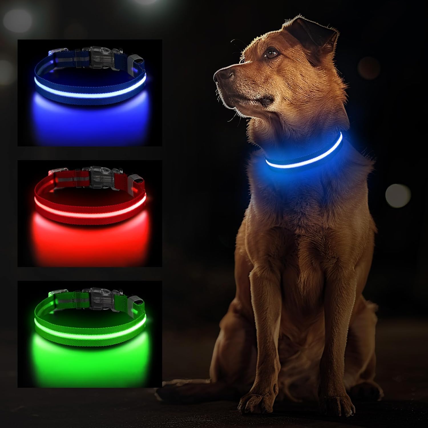 Jewyow Leuchthalsband Hund, Wiederaufladbares LED Hundehalsband FĂŒr Kleine, MittelgroĂe & GroĂe Hunde, Verstellbares Hundehalsband Leuchtend Mit Wasserdicht, 3 Modi, Blau-S
