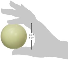 🐾 Leuchtball für Hunde – Chuckit! Max Glow Medium (6,5 cm) 💡⚽
