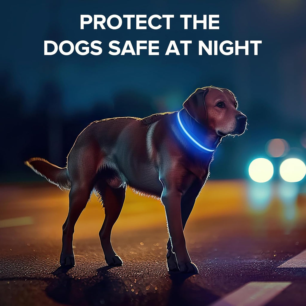 Jewyow Leuchthalsband Hund, Wiederaufladbares LED Hundehalsband Für Kleine, Mittelgroße & Große Hunde, Verstellbares Hundehalsband Leuchtend Mit Wasserdicht, 3 Modi, Blau-S