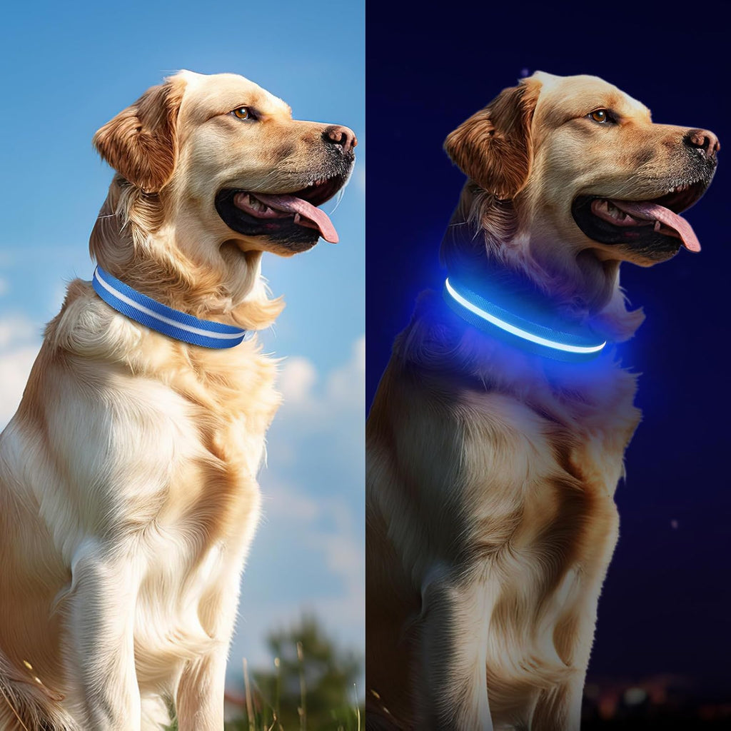 Jewyow Leuchthalsband Hund, Wiederaufladbares LED Hundehalsband Für Kleine, Mittelgroße & Große Hunde, Verstellbares Hundehalsband Leuchtend Mit Wasserdicht, 3 Modi, Blau-S
