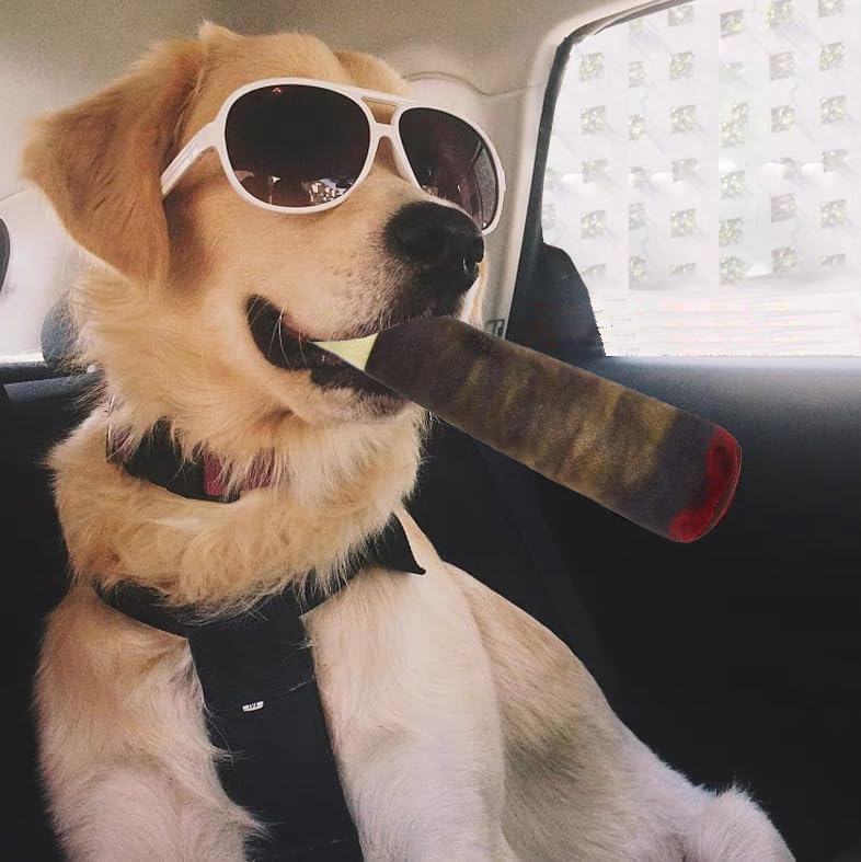 RAW Doobie Hundespielzeug – Lustiges Quietschspielzeug für coole Hunde 🐶