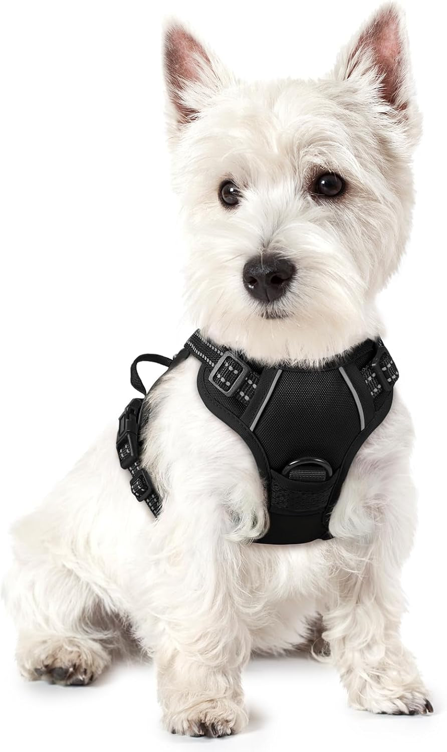Rabbitgoo Hundegeschirr Kleine Hunde, anti Zug Geschirr Mit Kontrolle, No Pull Verstellbar Hundegeschirr Grosse Hunde, Atmungsaktiv Reflexstreifen Brustgeschirr Sichere Führung Schwarz XS