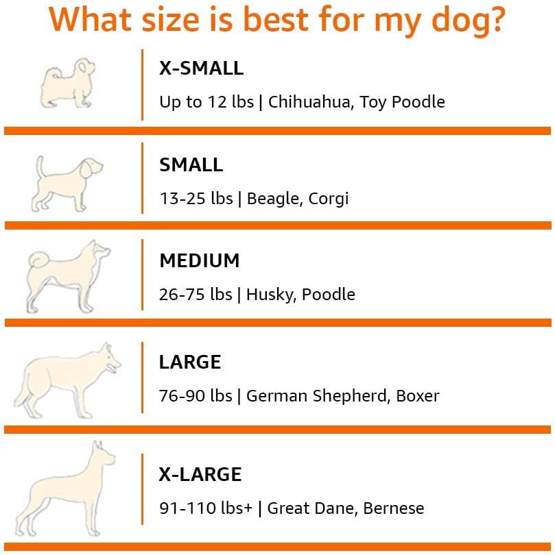 Amazon Basics Kühlendes Erhöhtes Haustierbett per Hund, Größe S, L 90 X B 55 X H 19 Cm, Grau