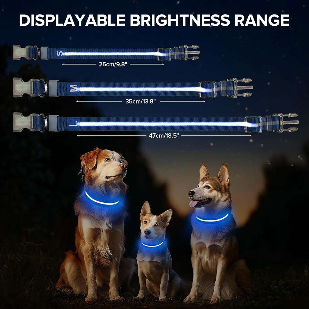 Jewyow Leuchthalsband Hund, Wiederaufladbares LED Hundehalsband Für Kleine, Mittelgroße & Große Hunde, Verstellbares Hundehalsband Leuchtend Mit Wasserdicht, 3 Modi, Blau-S