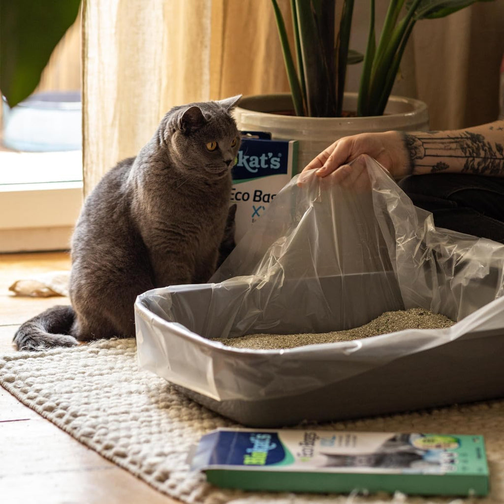 🐱🌿 Biokat’s EcoBags XXL – Nachhaltige Hygienebeutel aus 80% Recyclingmaterial