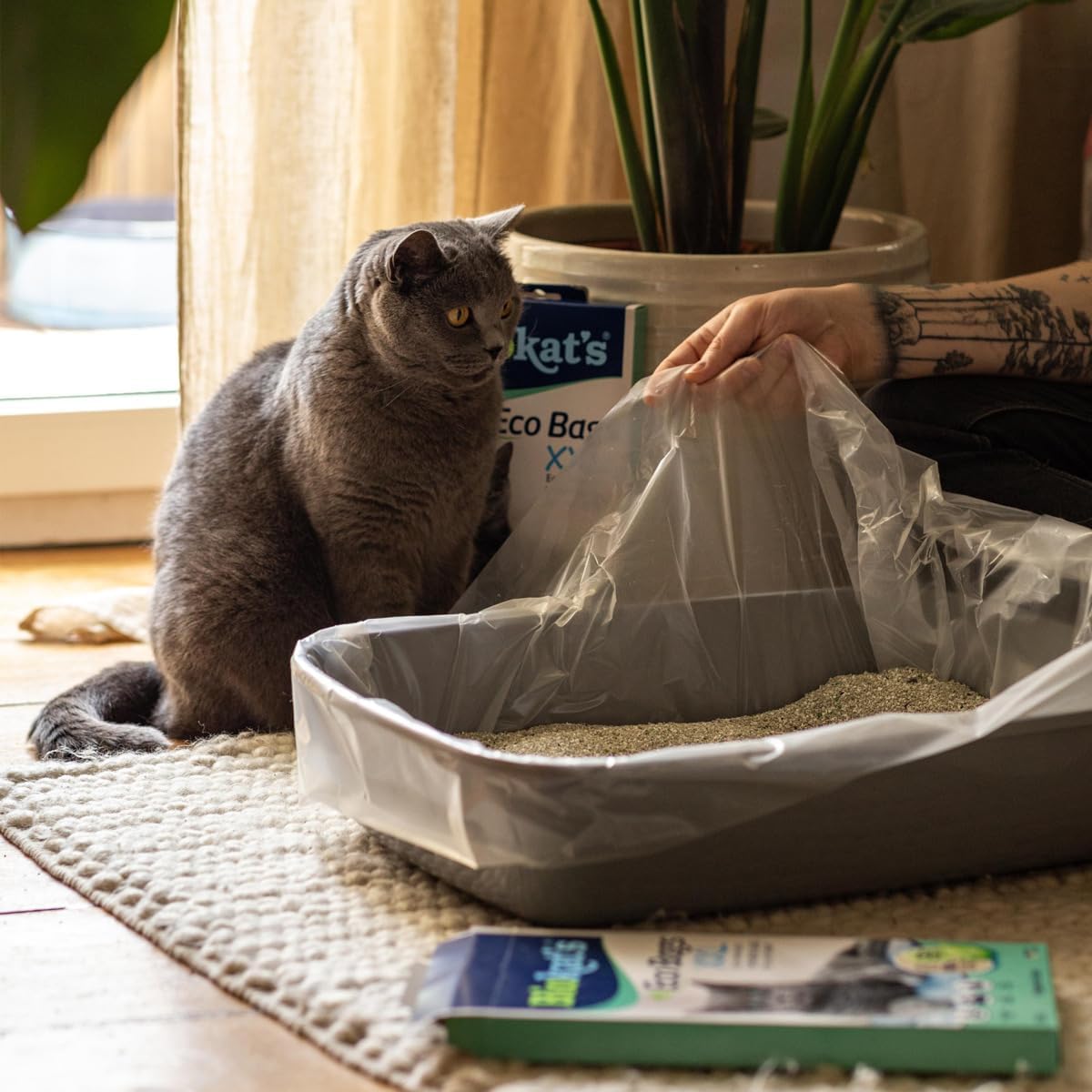 🐱🌿 Biokat’s EcoBags XXL – Nachhaltige Hygienebeutel aus 80% Recyclingmaterial