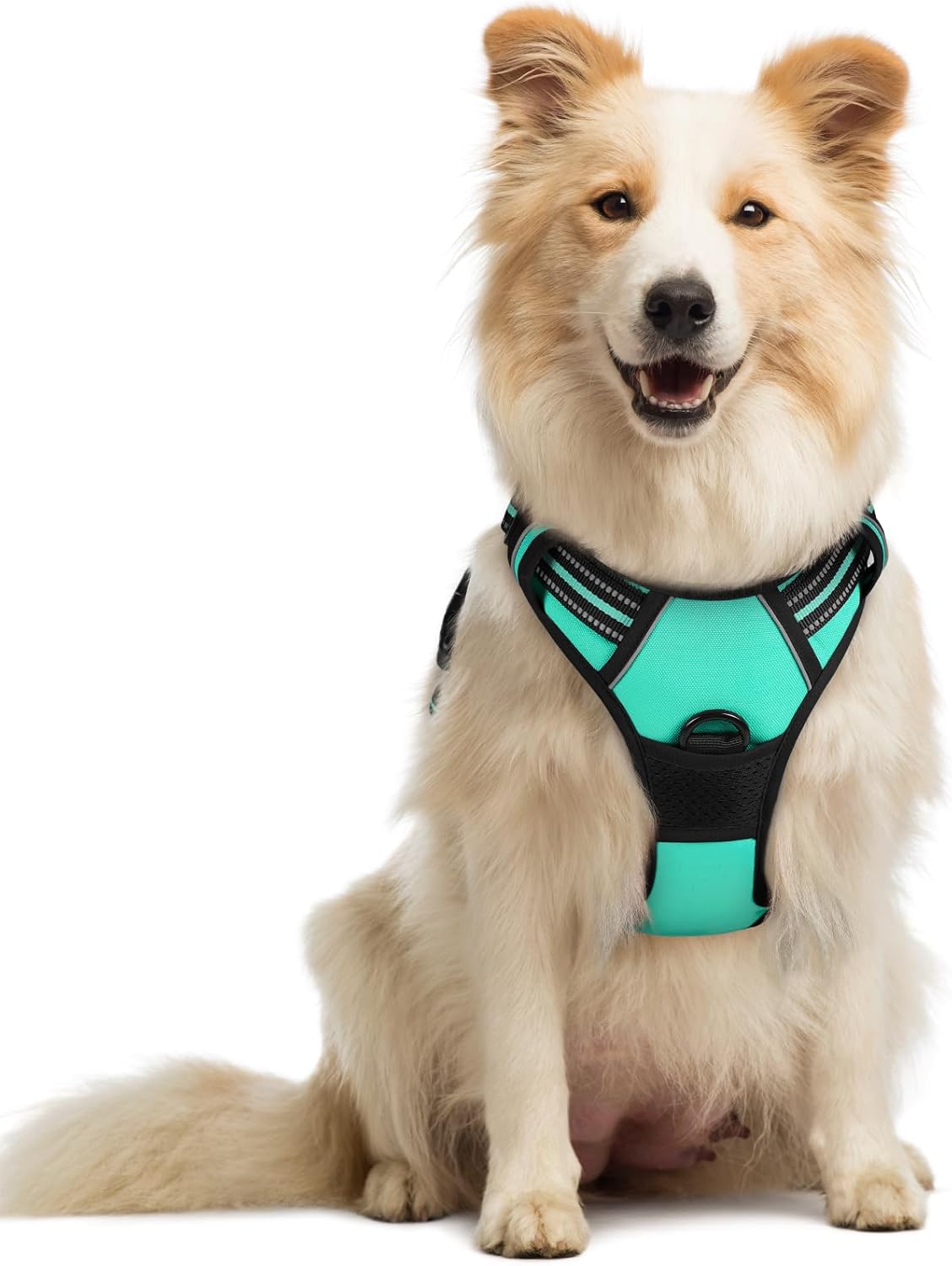 Rabbitgoo Hundegeschirr Kleine Hunde, anti Zug Geschirr Mit Kontrolle, No Pull Verstellbar Hundegeschirr Grosse Hunde, Atmungsaktiv Reflexstreifen Brustgeschirr Sichere Führung Schwarz XS