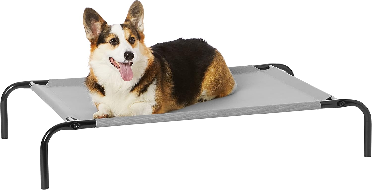 Amazon Basics Kühlendes Erhöhtes Haustierbett per Hund, Größe S, L 90 X B 55 X H 19 Cm, Grau