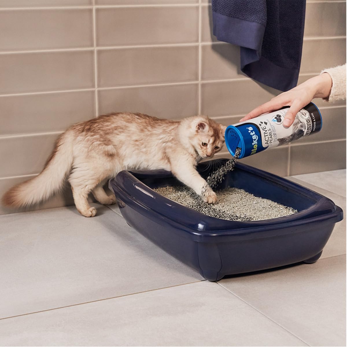Biokat's Active Pearls 🐾✨ – Aktivkohle-Streuzusatz für bessere Geruchsbindung & Saugkraft 💨🧽 – 700 ml
