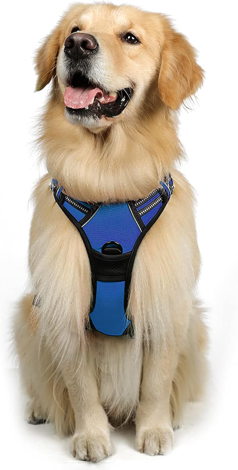 Rabbitgoo Hundegeschirr Kleine Hunde, anti Zug Geschirr Mit Kontrolle, No Pull Verstellbar Hundegeschirr Grosse Hunde, Atmungsaktiv Reflexstreifen Brustgeschirr Sichere Führung Schwarz XS