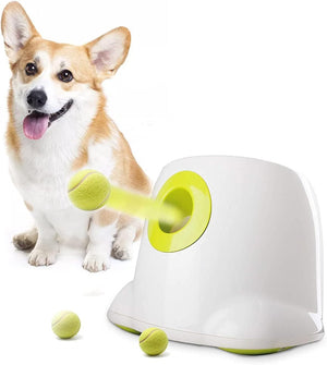 🐶🎾 Automatischer Ballwerfer für Hunde 🐾 | Interaktives Spiel & Training drinnen & draußen 🌟