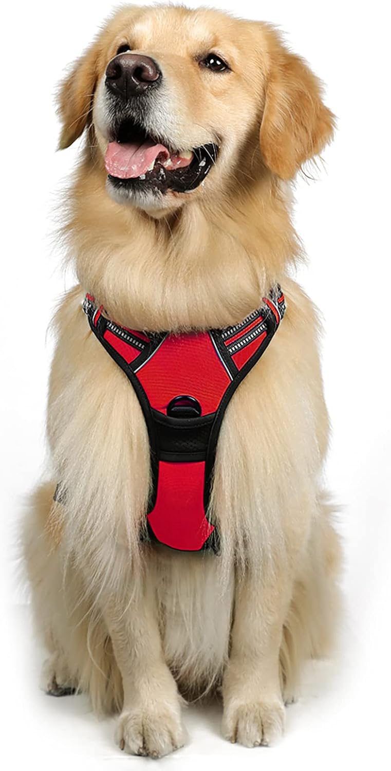 Rabbitgoo Hundegeschirr Kleine Hunde, anti Zug Geschirr Mit Kontrolle, No Pull Verstellbar Hundegeschirr Grosse Hunde, Atmungsaktiv Reflexstreifen Brustgeschirr Sichere Führung Schwarz XS