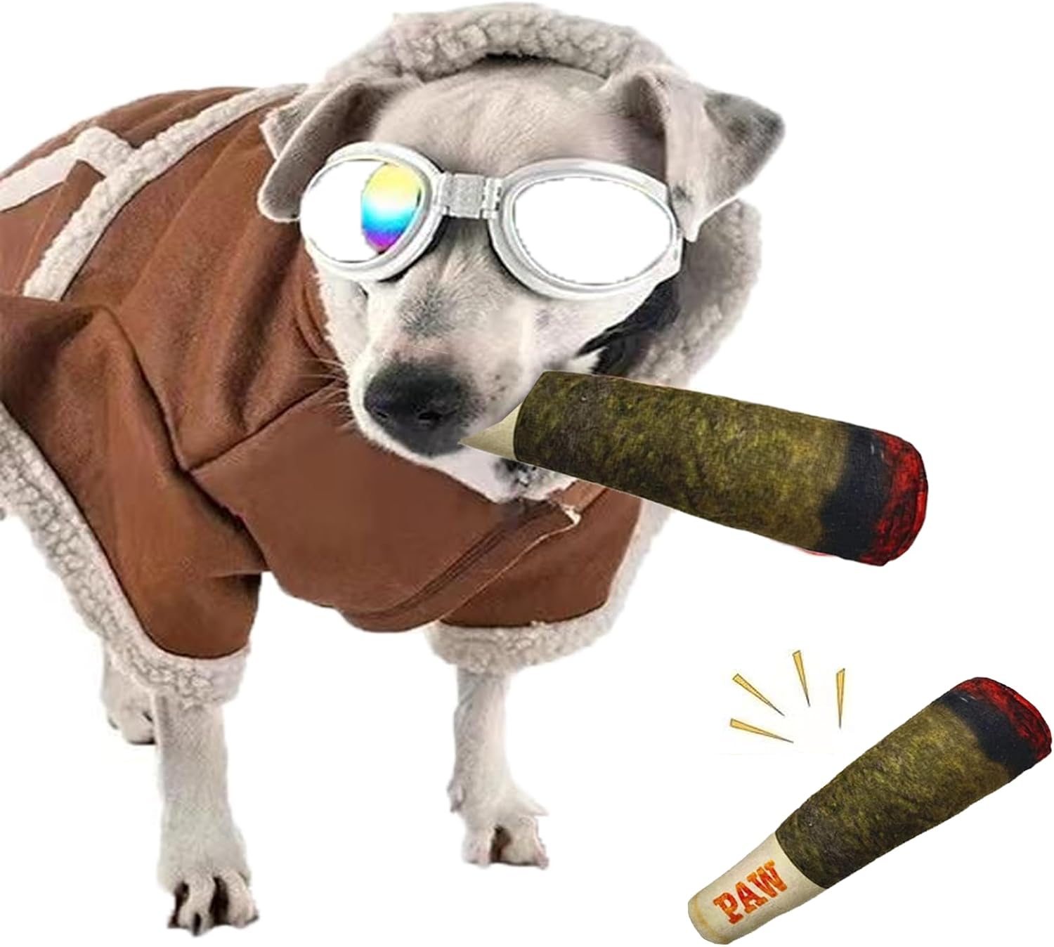 RAW Doobie Hundespielzeug – Lustiges Quietschspielzeug für coole Hunde 🐶