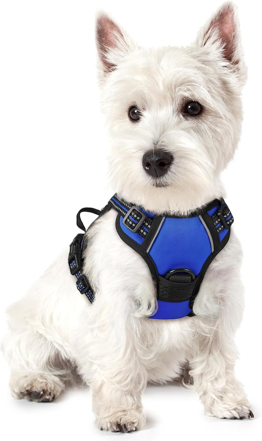 Rabbitgoo Hundegeschirr Kleine Hunde, anti Zug Geschirr Mit Kontrolle, No Pull Verstellbar Hundegeschirr Grosse Hunde, Atmungsaktiv Reflexstreifen Brustgeschirr Sichere Führung Schwarz XS