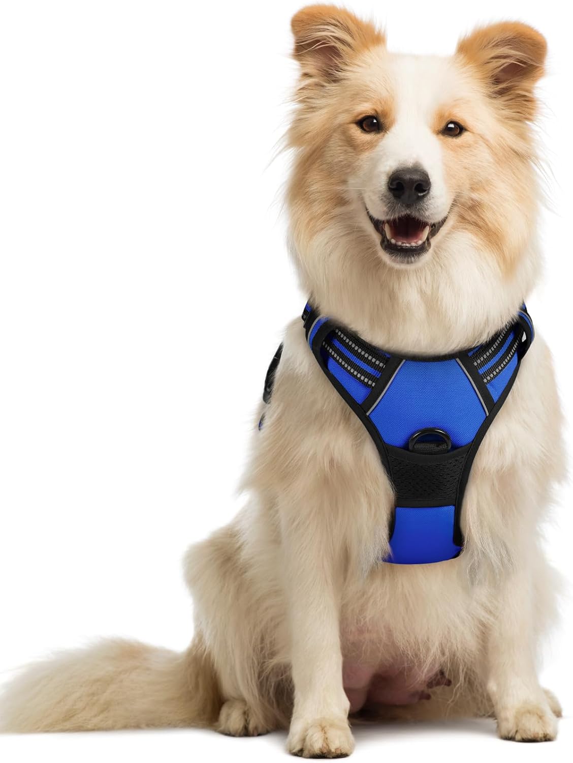 Rabbitgoo Hundegeschirr Kleine Hunde, anti Zug Geschirr Mit Kontrolle, No Pull Verstellbar Hundegeschirr Grosse Hunde, Atmungsaktiv Reflexstreifen Brustgeschirr Sichere Führung Schwarz XS