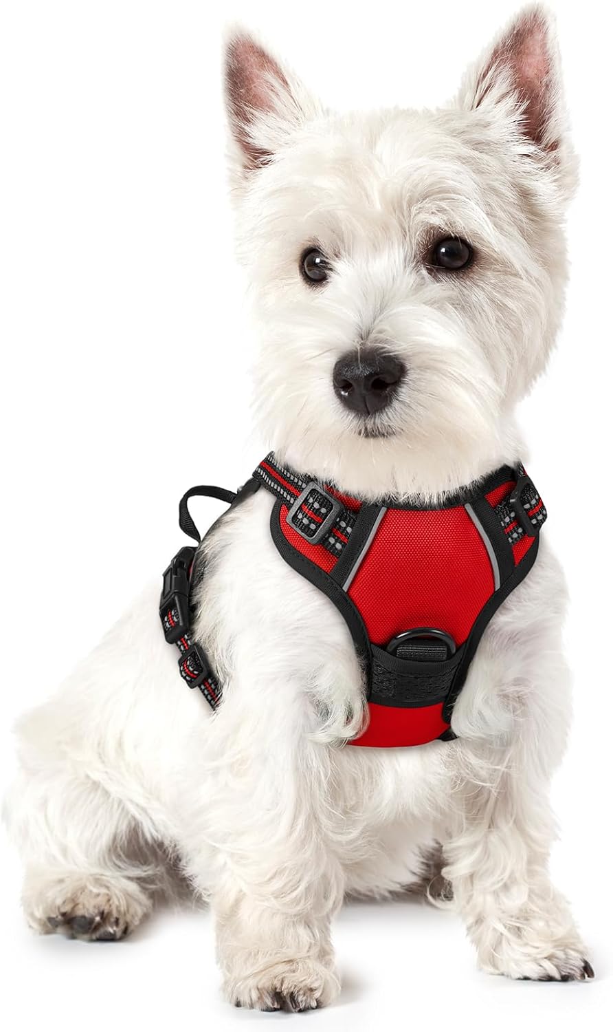 Rabbitgoo Hundegeschirr Kleine Hunde, anti Zug Geschirr Mit Kontrolle, No Pull Verstellbar Hundegeschirr Grosse Hunde, Atmungsaktiv Reflexstreifen Brustgeschirr Sichere Führung Schwarz XS