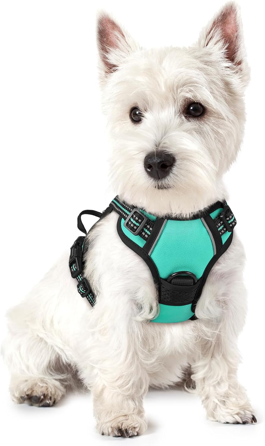 Rabbitgoo Hundegeschirr Kleine Hunde, anti Zug Geschirr Mit Kontrolle, No Pull Verstellbar Hundegeschirr Grosse Hunde, Atmungsaktiv Reflexstreifen Brustgeschirr Sichere Führung Schwarz XS