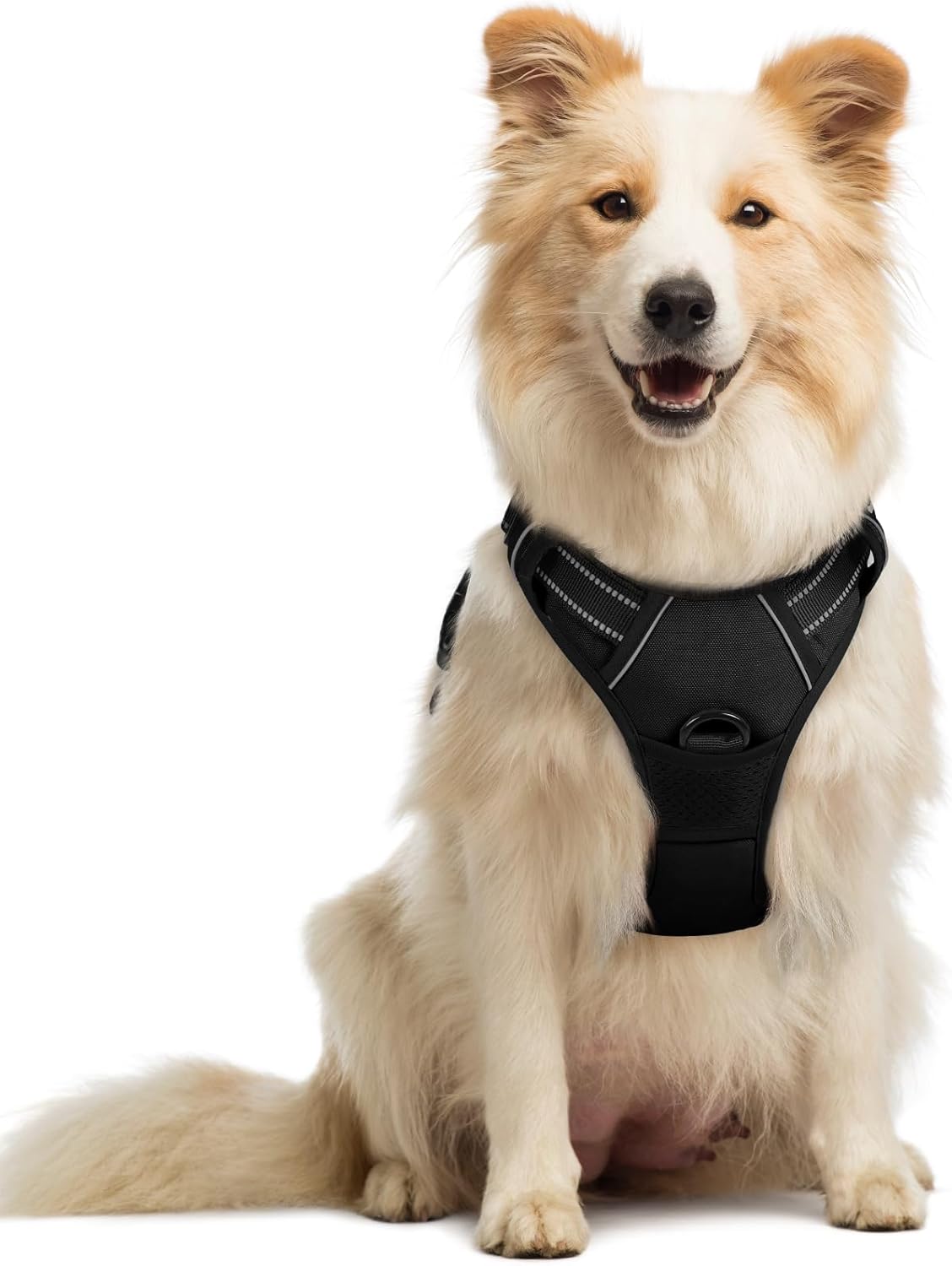 Rabbitgoo Hundegeschirr Kleine Hunde, anti Zug Geschirr Mit Kontrolle, No Pull Verstellbar Hundegeschirr Grosse Hunde, Atmungsaktiv Reflexstreifen Brustgeschirr Sichere Führung Schwarz XS