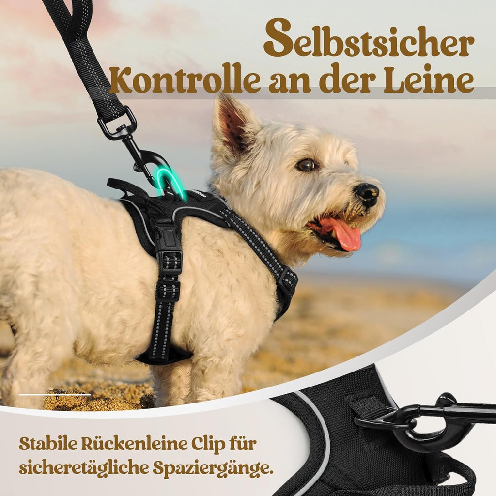 Rabbitgoo Hundegeschirr Kleine Hunde, anti Zug Geschirr Mit Kontrolle, No Pull Verstellbar Hundegeschirr Grosse Hunde, Atmungsaktiv Reflexstreifen Brustgeschirr Sichere Führung Schwarz XS