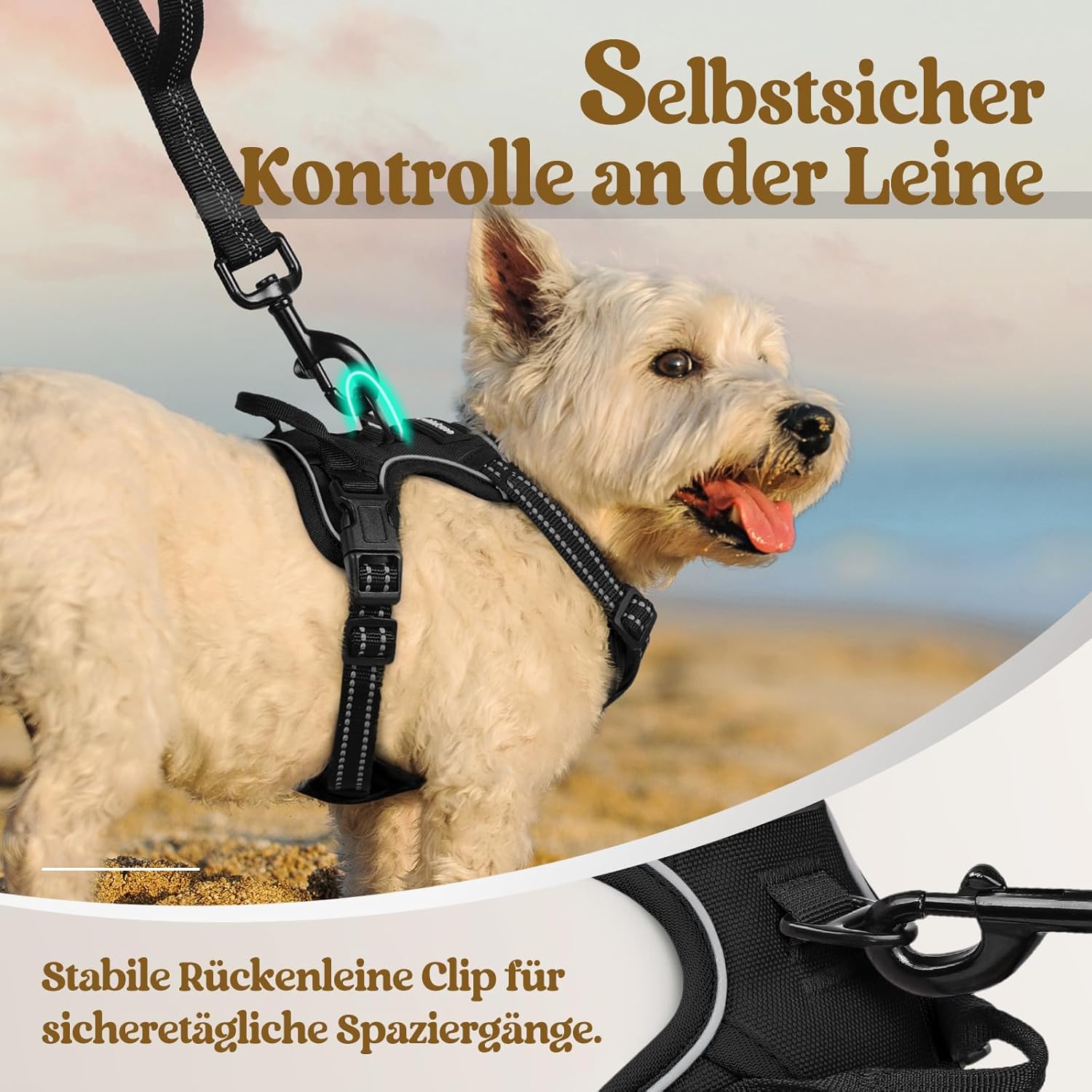 Rabbitgoo Hundegeschirr Kleine Hunde, anti Zug Geschirr Mit Kontrolle, No Pull Verstellbar Hundegeschirr Grosse Hunde, Atmungsaktiv Reflexstreifen Brustgeschirr Sichere Führung Schwarz XS