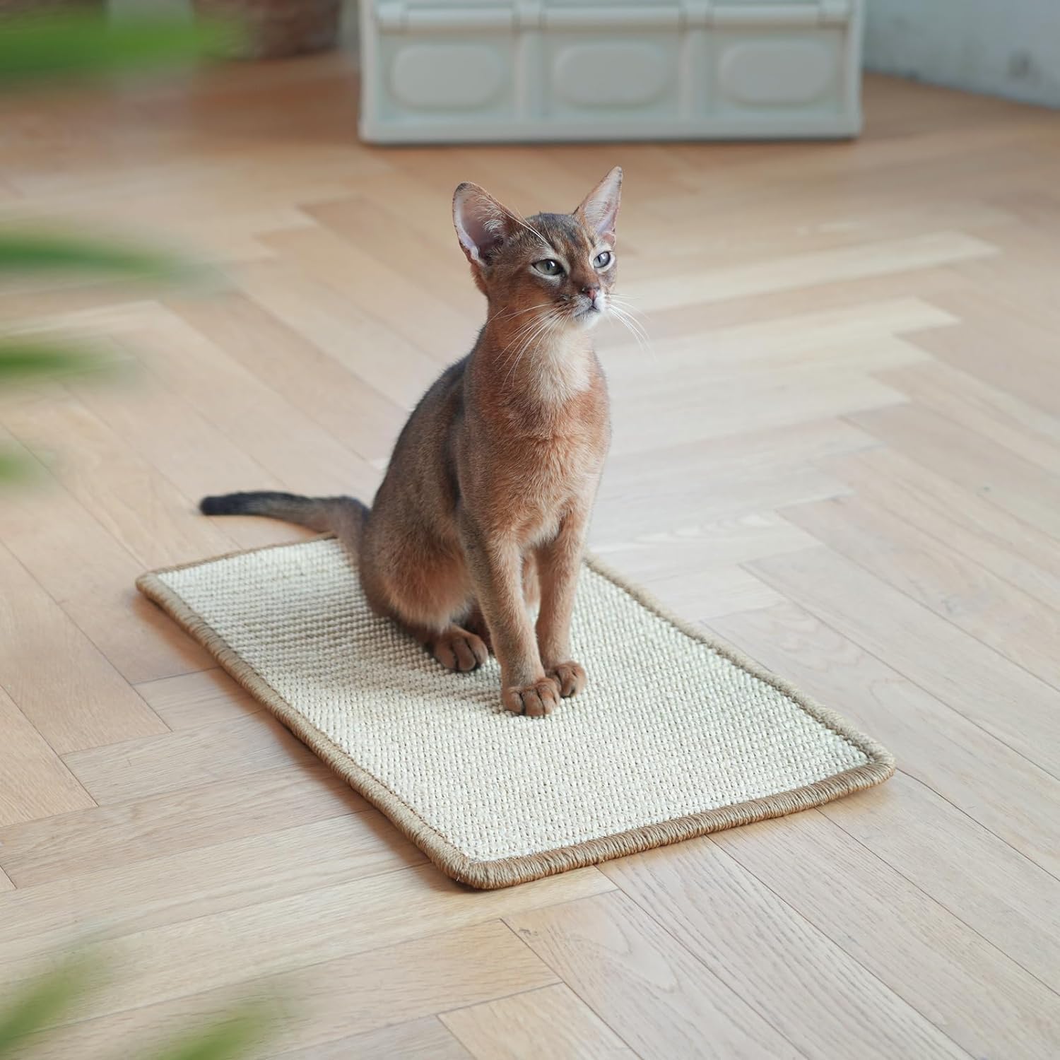 FUKUMARU Kratzmatte Katze, Natürliche Katzenkratzbretter Sisal Kratzteppich 50X30 Cm, Widerstandsfähig Katzenmöbel Fußmatte Sisalmatte Kratzpads Für Katzen, Beige