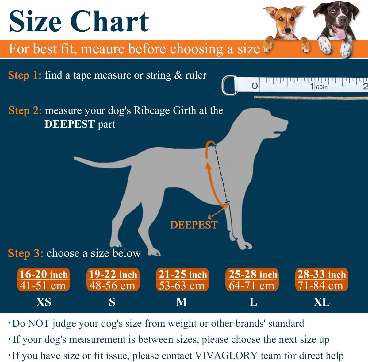 🐶💦 VIVAGLORY Hundeschwimmweste Neopren – Orange