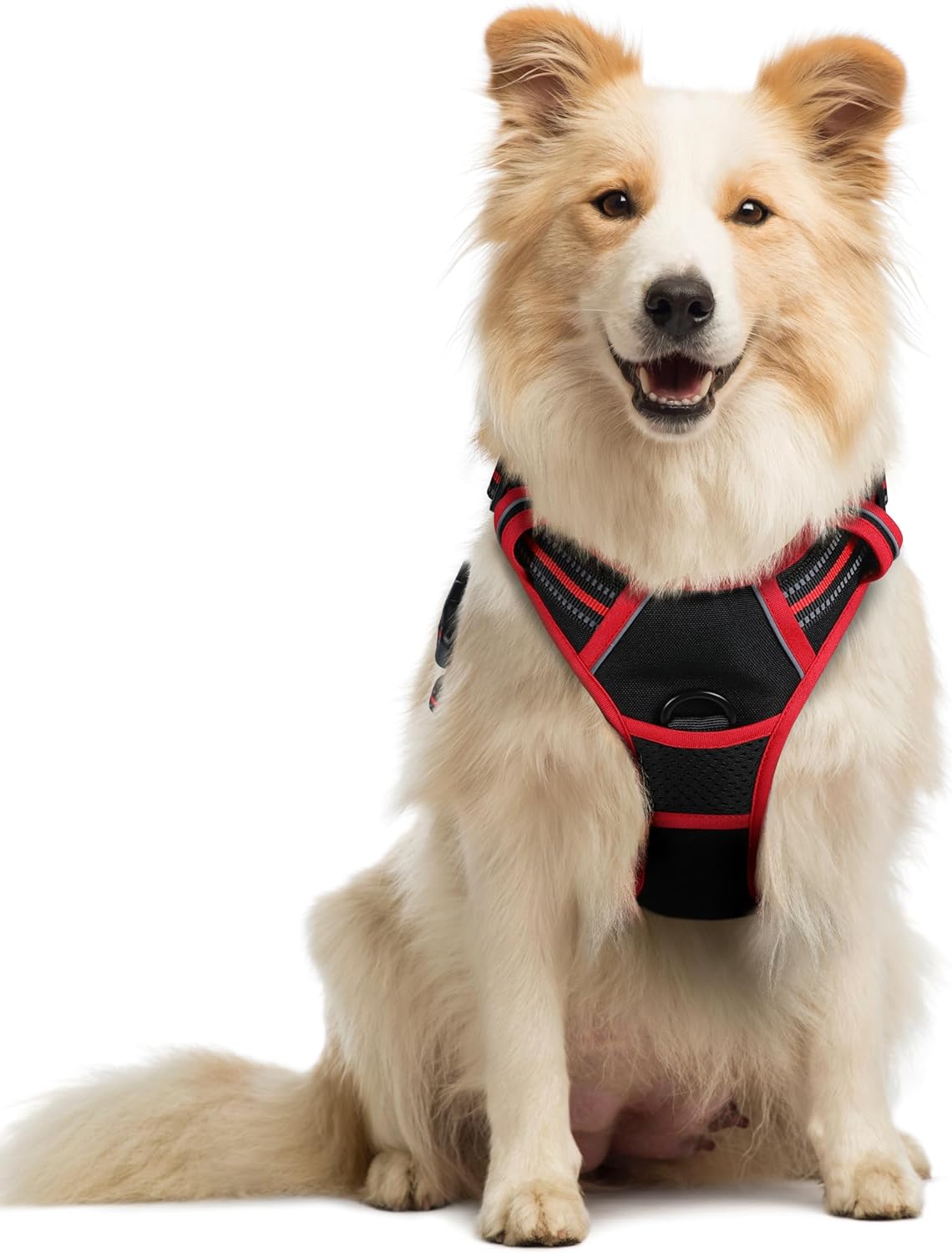 Rabbitgoo Hundegeschirr Kleine Hunde, anti Zug Geschirr Mit Kontrolle, No Pull Verstellbar Hundegeschirr Grosse Hunde, Atmungsaktiv Reflexstreifen Brustgeschirr Sichere Führung Schwarz XS