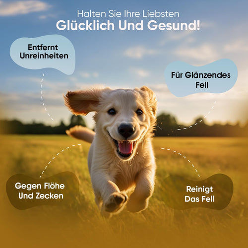 Animigo Flohshampoo 500ml für Hunde & Katzen 🐾 mit Teebaum- & Kokosöl – gegen Flöhe, Zecken & Juckreiz