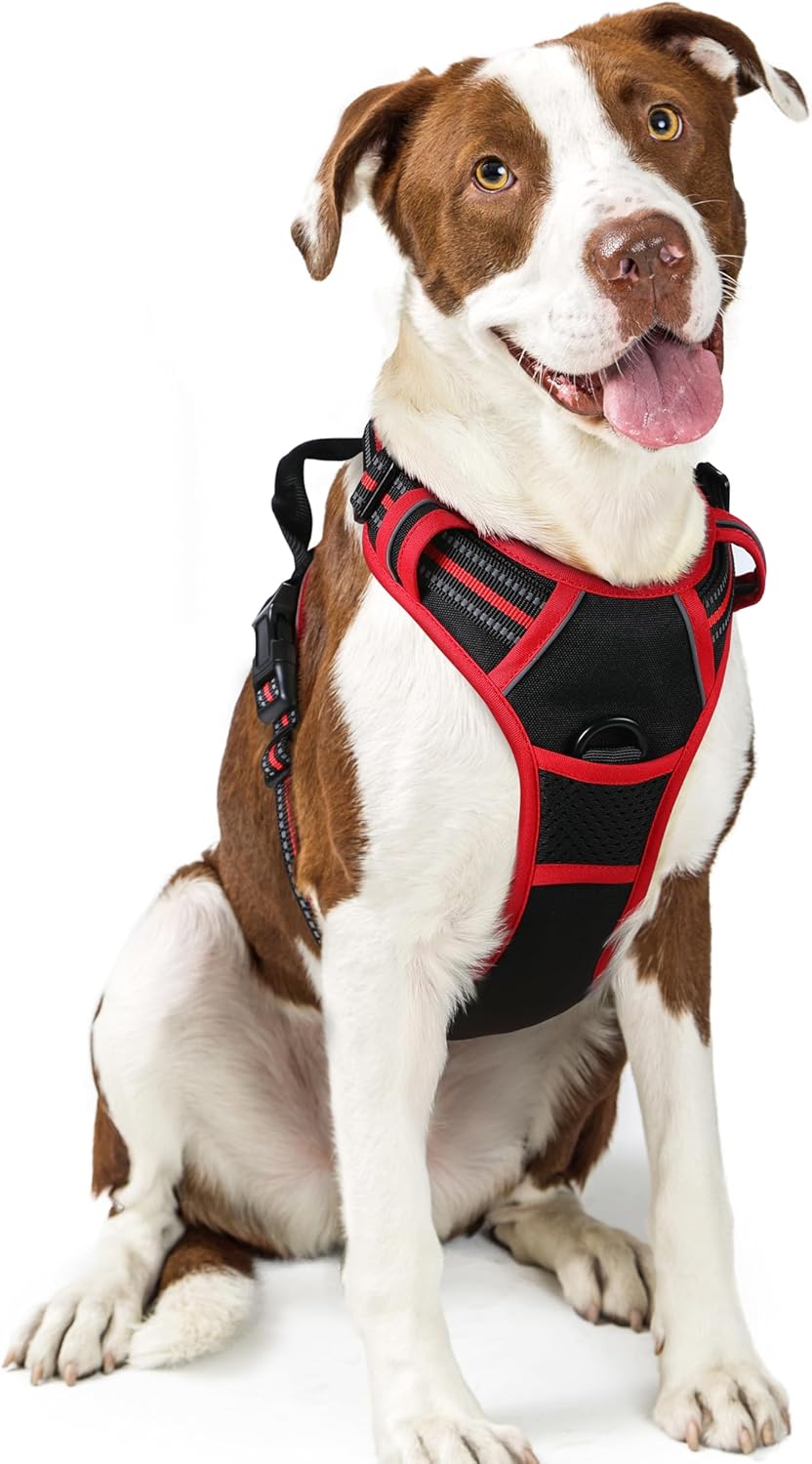 Rabbitgoo Hundegeschirr Kleine Hunde, anti Zug Geschirr Mit Kontrolle, No Pull Verstellbar Hundegeschirr Grosse Hunde, Atmungsaktiv Reflexstreifen Brustgeschirr Sichere Führung Schwarz XS