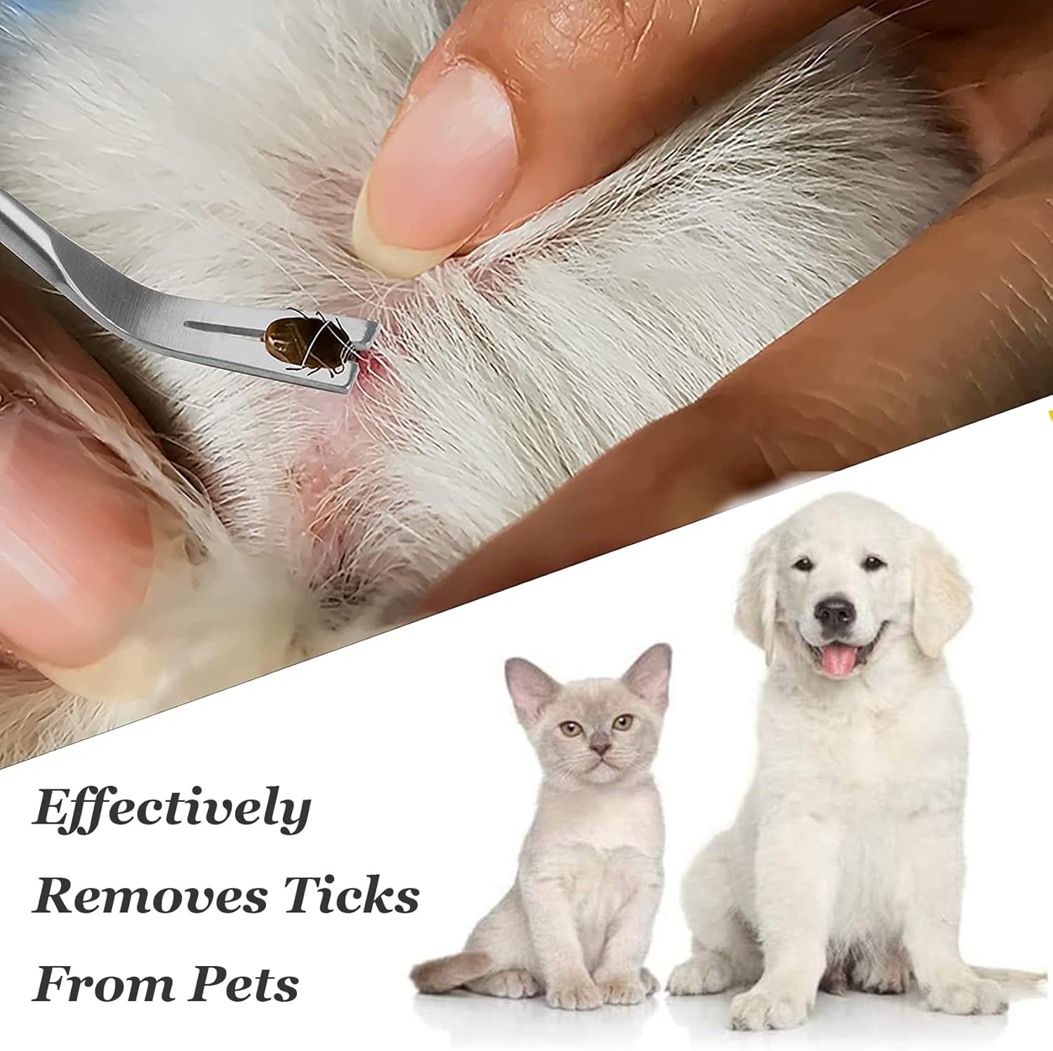 🐾 2-in-1 Profi Zeckenzange Edelstahl mit Lederetui – Zeckenentferner für Mensch & Tier 🐜