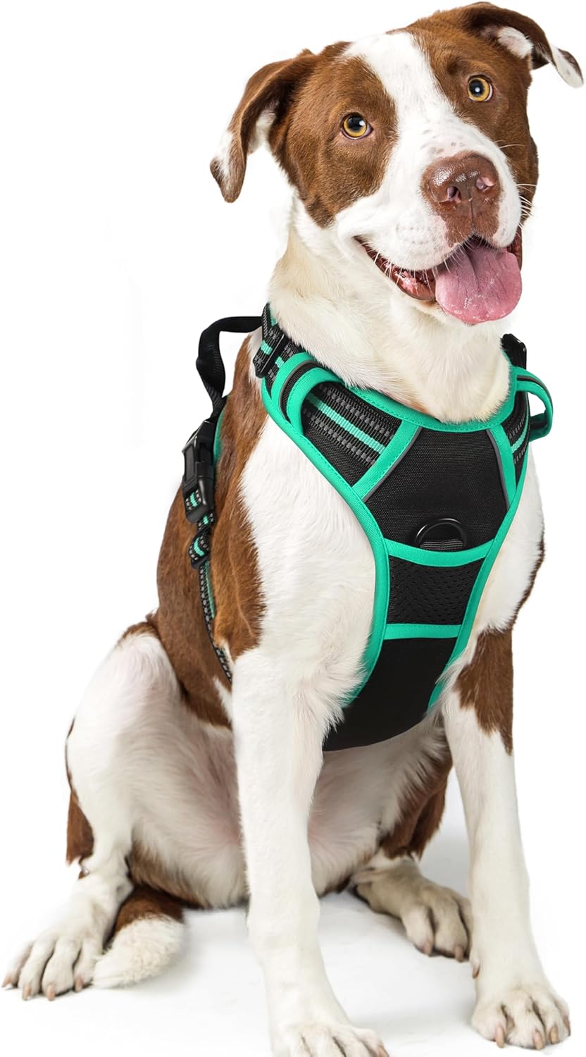 Rabbitgoo Hundegeschirr Kleine Hunde, anti Zug Geschirr Mit Kontrolle, No Pull Verstellbar Hundegeschirr Grosse Hunde, Atmungsaktiv Reflexstreifen Brustgeschirr Sichere Führung Schwarz XS