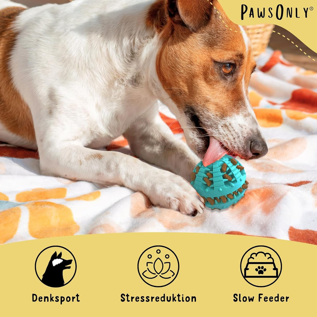 🐶🧠 PawsOnly Snackball – Intelligenzspielzeug & Zahnpflege für Hunde 🦷🎾 – Leckerli-Spielzeug aus Naturkautschuk 🎁