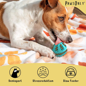 🐶🧠 PawsOnly Snackball – Intelligenzspielzeug & Zahnpflege für Hunde 🦷🎾 – Leckerli-Spielzeug aus Naturkautschuk 🎁