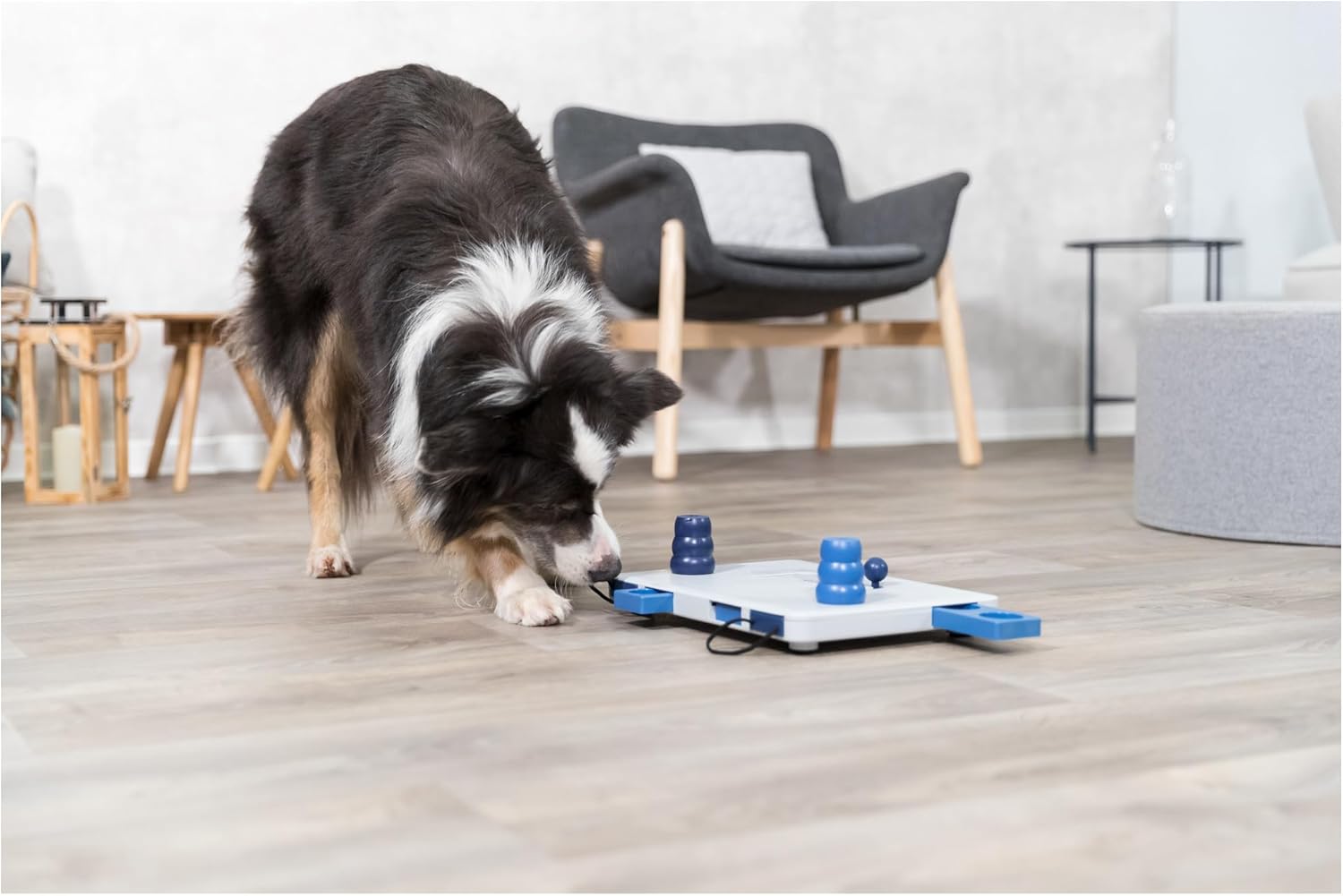 TRIXIE 32025 Move-2-Win Futterpuzzles Für Hunde, Level 3, Blau Und Weiß