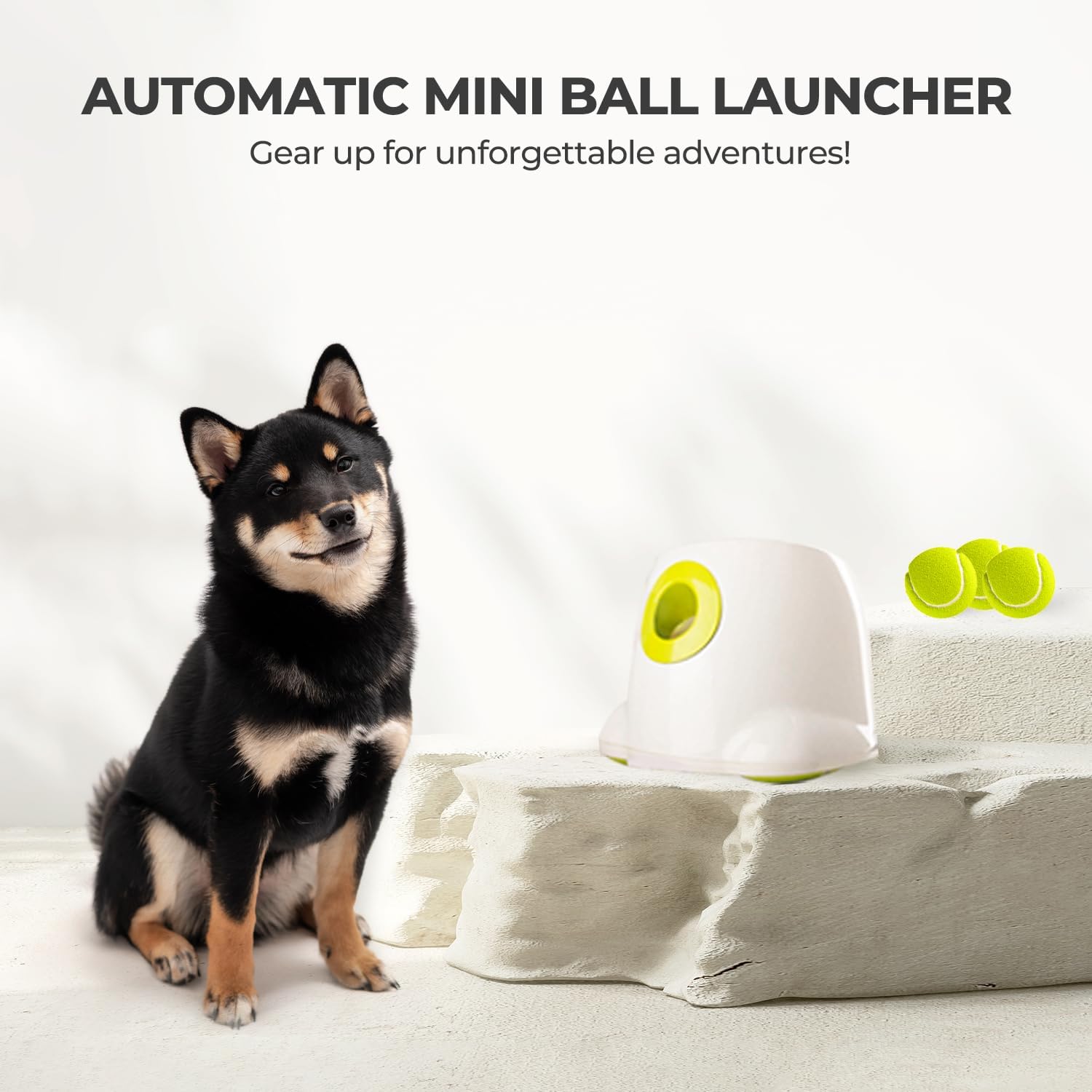 🐶🎾 Automatischer Ballwerfer für Hunde 🐾 | Interaktives Spiel & Training drinnen & draußen 🌟