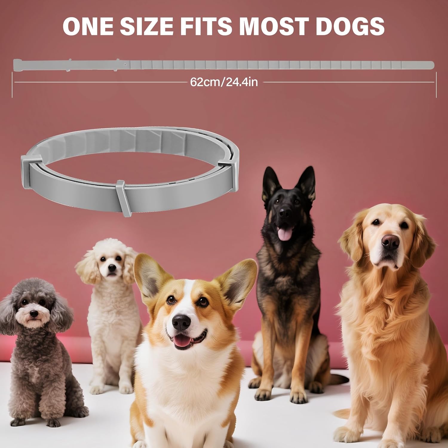🐾 2× Zeckenhalsband für Hunde – 16 Monate Schutz 🌿