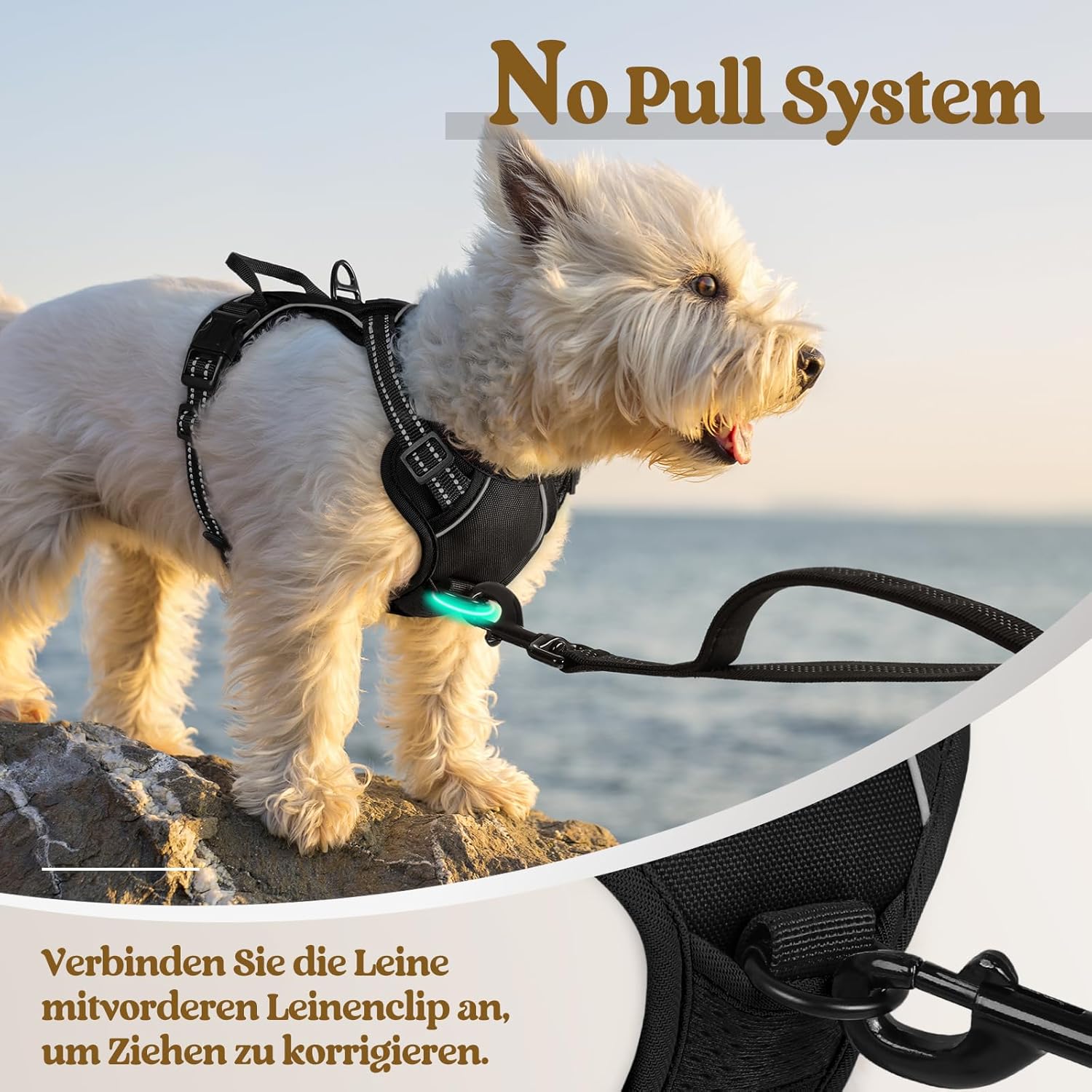 No-Pull Hundegeschirr - Voll Verstellbar, Mit Griff & 3 Schnallen - Für Kleine Bis Große Hunde (S/M/L/XL)