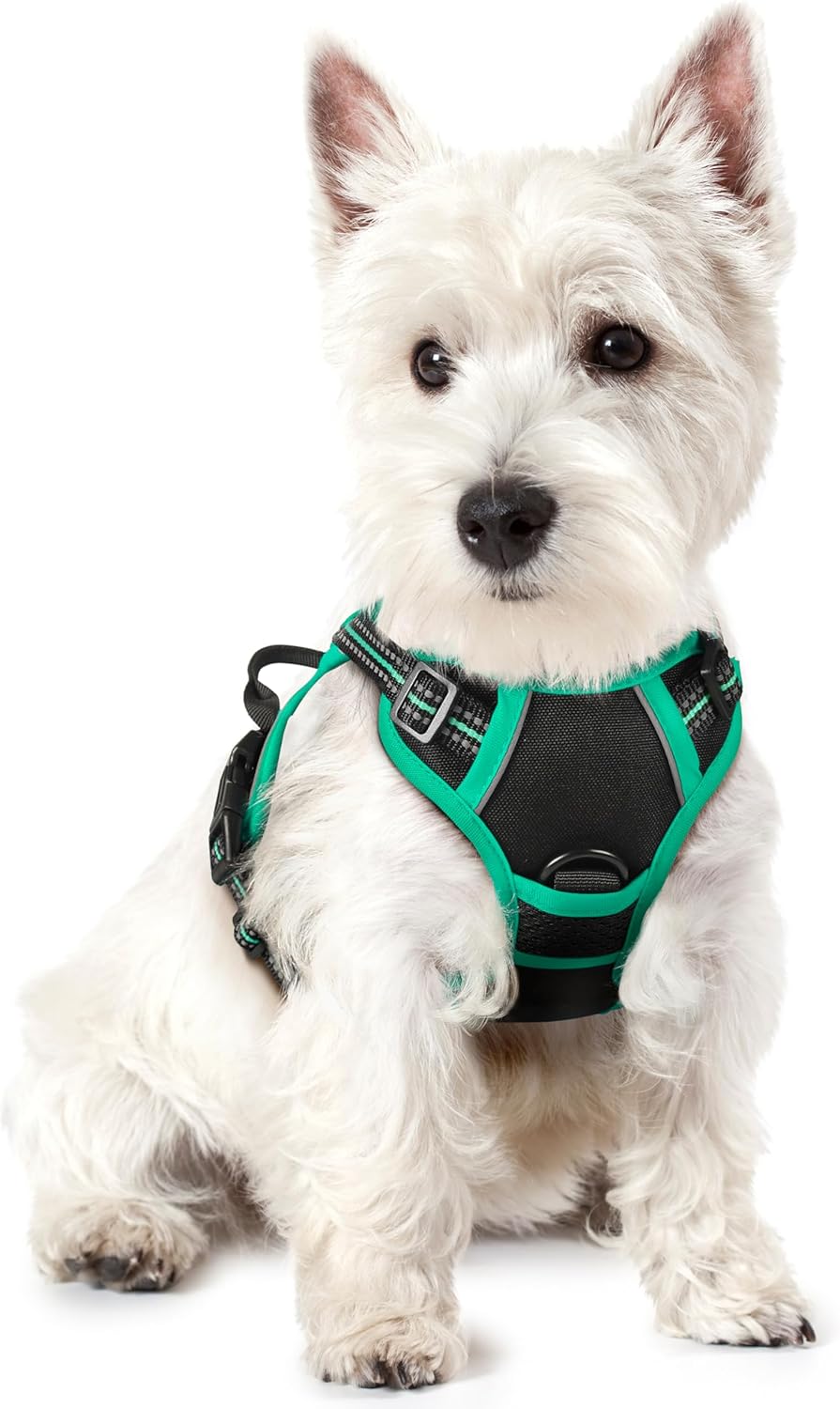 Rabbitgoo Hundegeschirr Kleine Hunde, anti Zug Geschirr Mit Kontrolle, No Pull Verstellbar Hundegeschirr Grosse Hunde, Atmungsaktiv Reflexstreifen Brustgeschirr Sichere Führung Schwarz XS