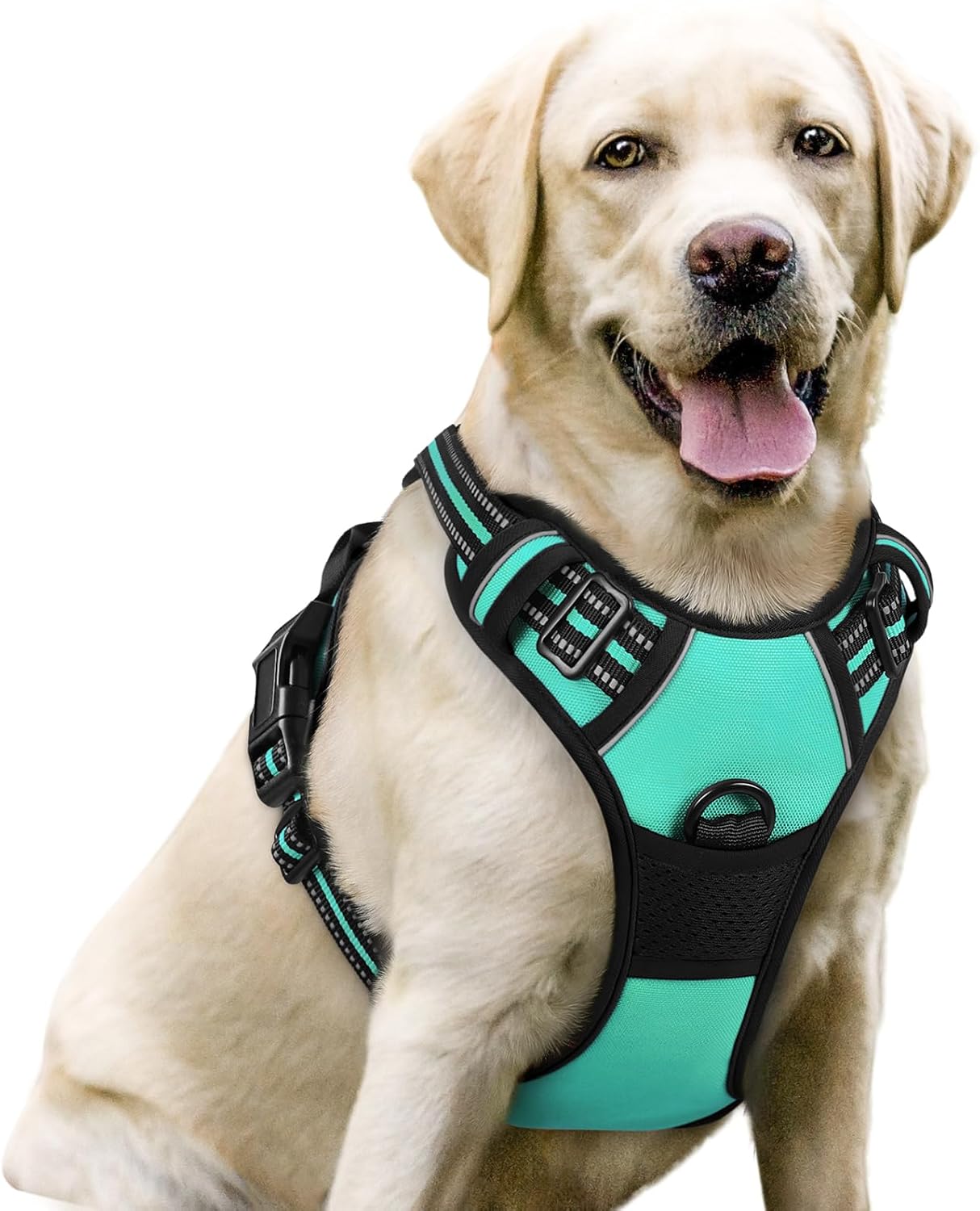 Rabbitgoo Hundegeschirr Kleine Hunde, anti Zug Geschirr Mit Kontrolle, No Pull Verstellbar Hundegeschirr Grosse Hunde, Atmungsaktiv Reflexstreifen Brustgeschirr Sichere Führung Schwarz XS