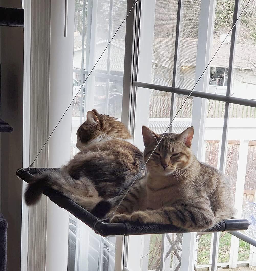 🐾 Dracarys Katzen Hängematte fürs Fenster 🪟 – Für Große Katzen bis 20 kg 🐱💪