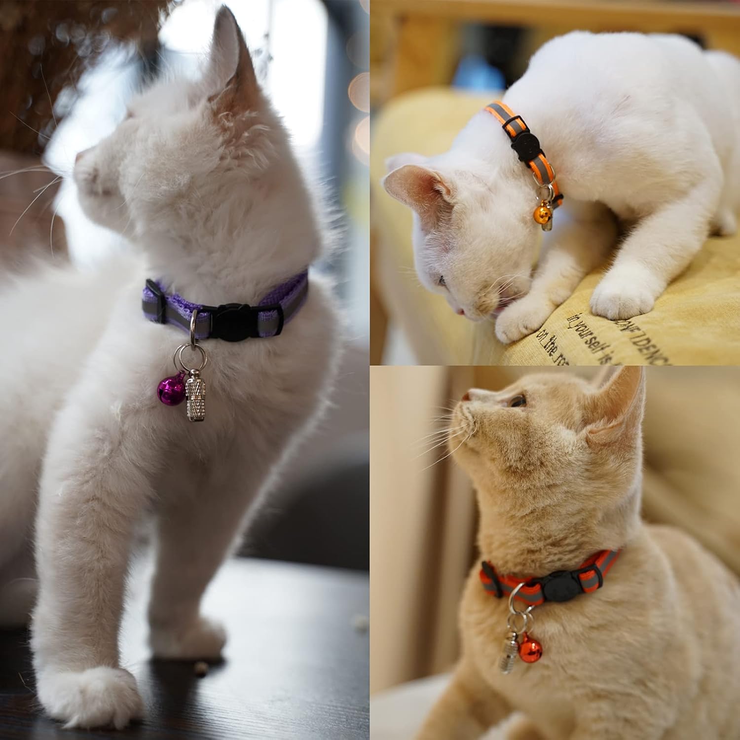 😺Reflektierendes Katzenhalsband mit Name & Adresse 🐾🔒