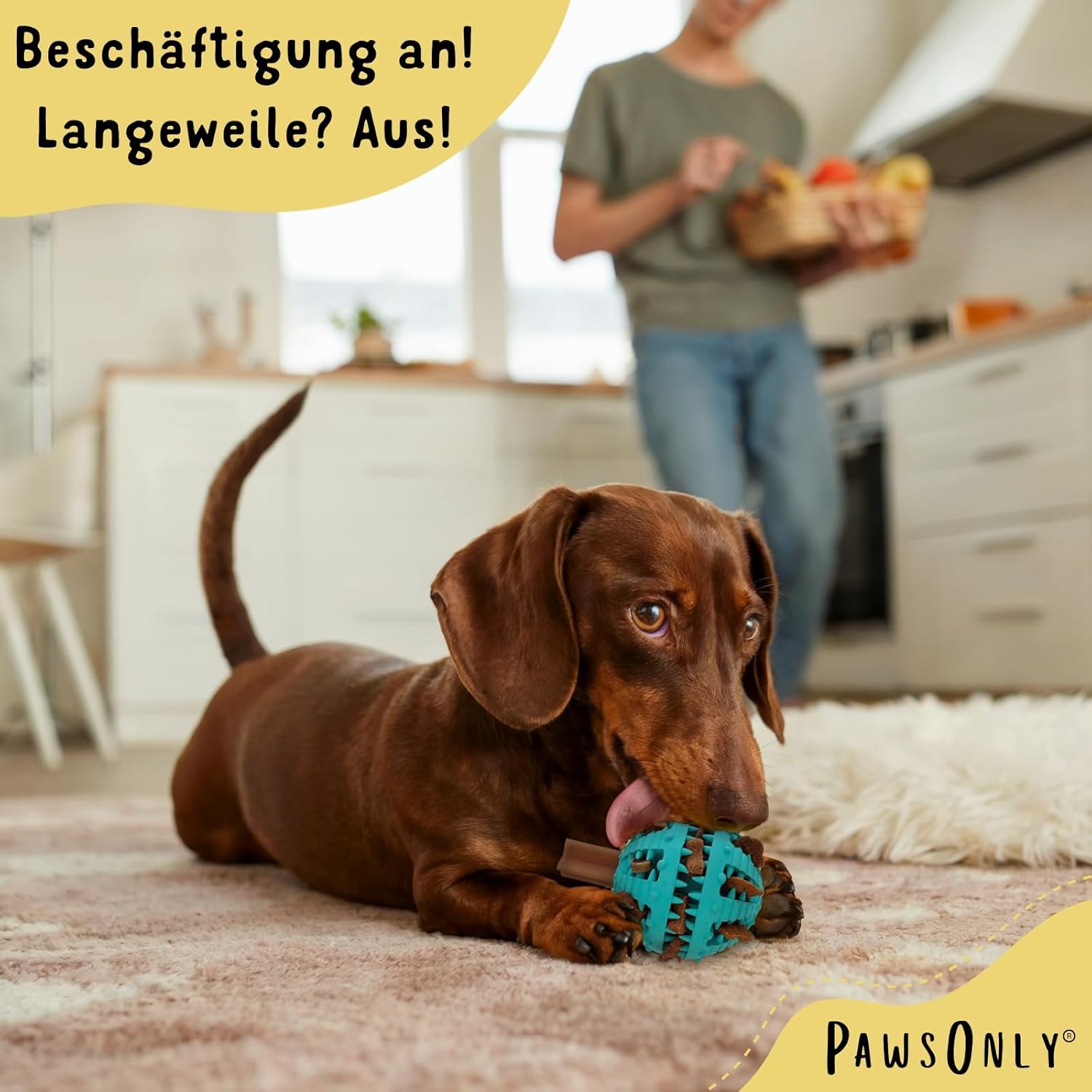 🐶🧠 PawsOnly Snackball – Intelligenzspielzeug & Zahnpflege für Hunde 🦷🎾 – Leckerli-Spielzeug aus Naturkautschuk 🎁