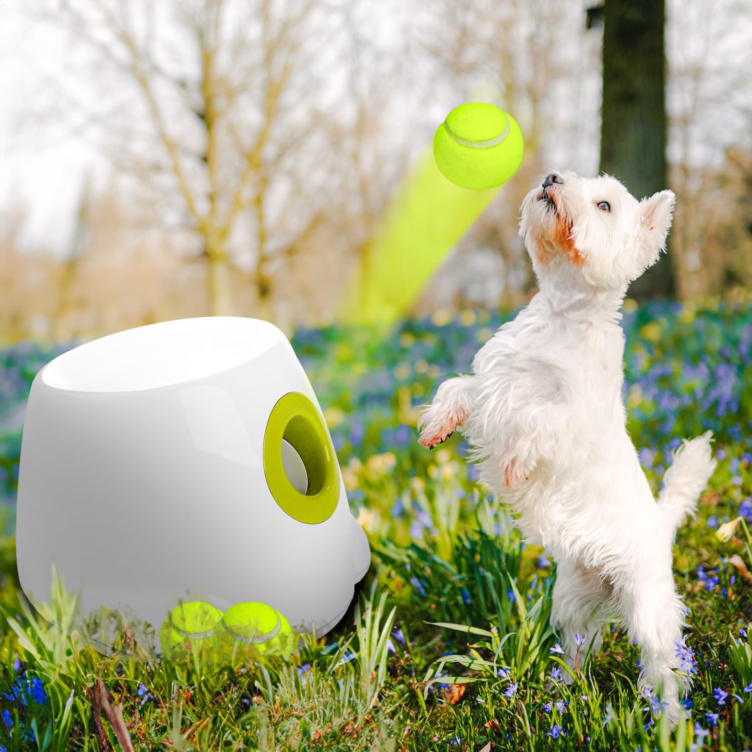 🐶🎾 Automatischer Ballwerfer für Hunde 🐾 | Interaktives Spiel & Training drinnen & draußen 🌟