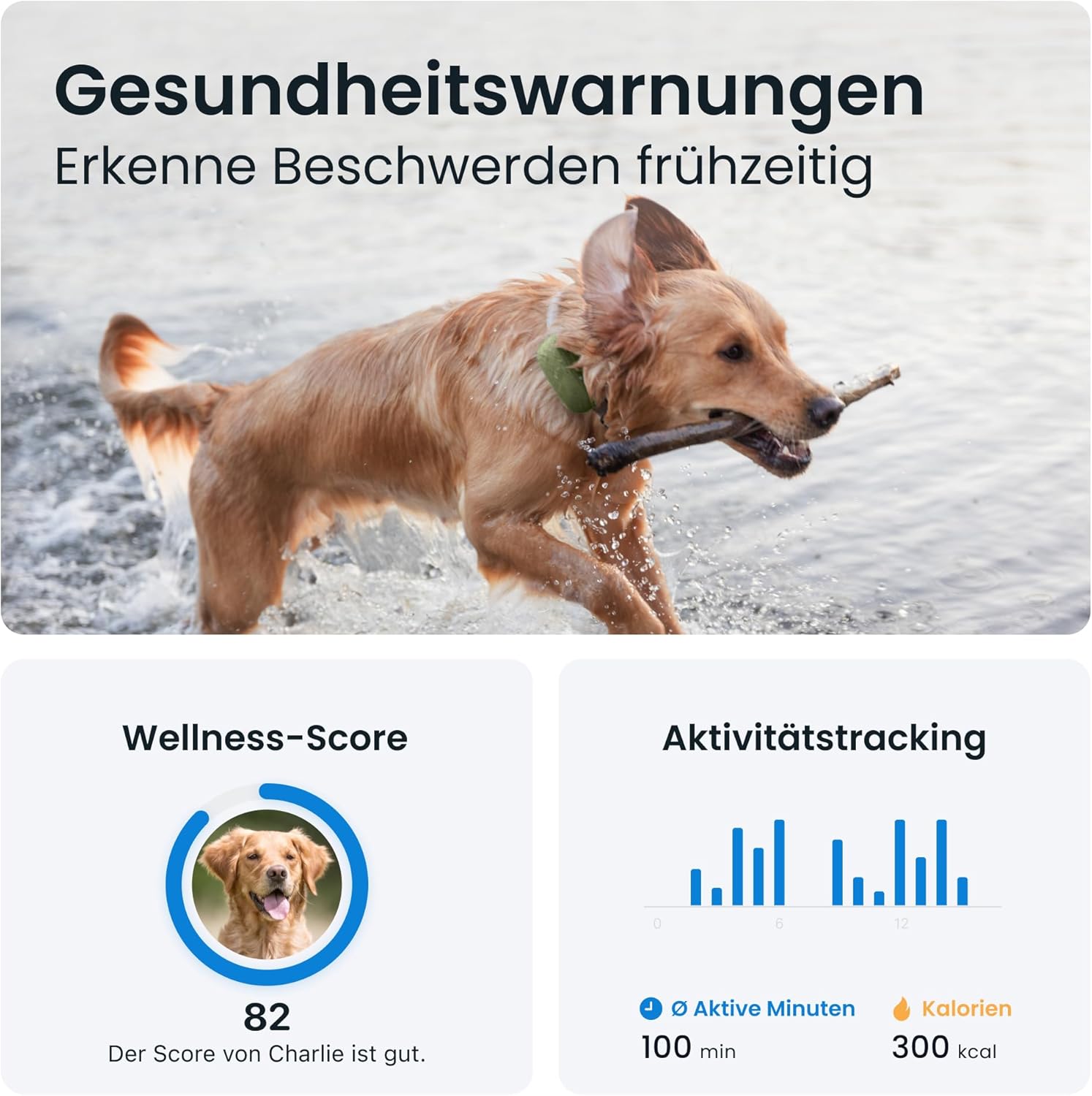 📡 Tractive XL Tracker Hund – 1 Monat Akku 🔋 & Live-Ortung 🌍