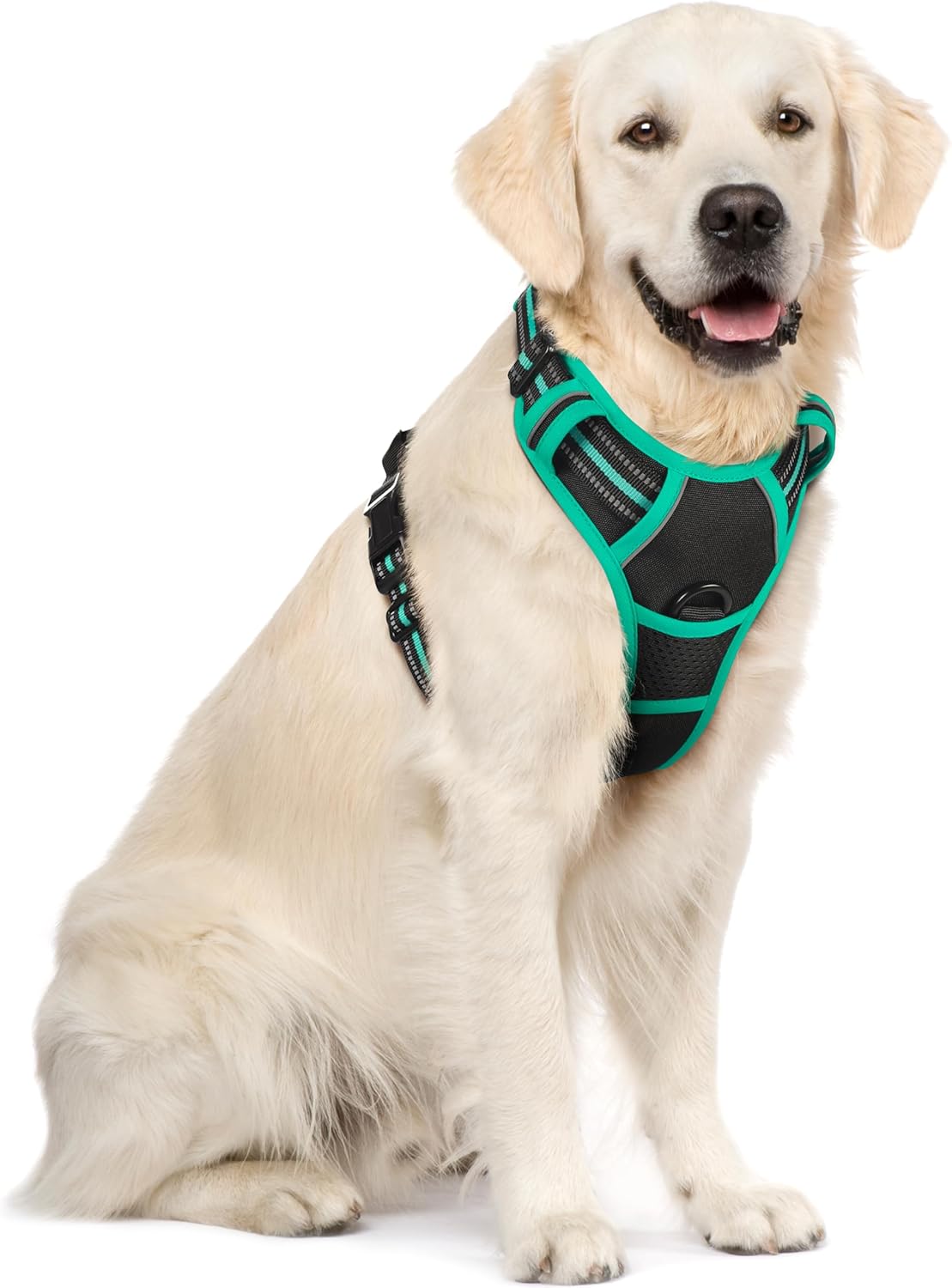 Rabbitgoo Hundegeschirr Kleine Hunde, anti Zug Geschirr Mit Kontrolle, No Pull Verstellbar Hundegeschirr Grosse Hunde, Atmungsaktiv Reflexstreifen Brustgeschirr Sichere Führung Schwarz XS