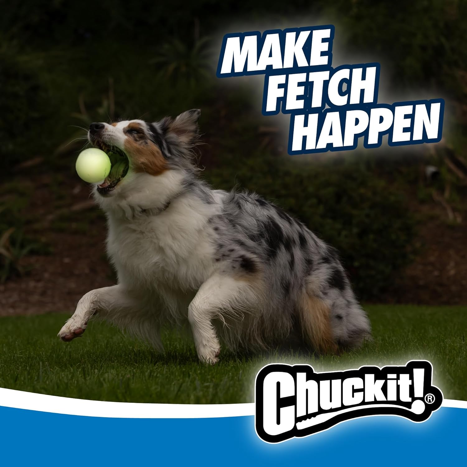 🐾 Leuchtball für Hunde – Chuckit! Max Glow Medium (6,5 cm) 💡⚽